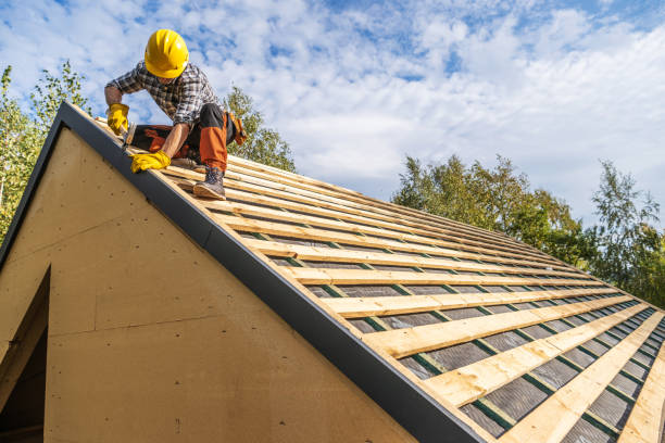 Best Storm Damage Roof Repair  in Calico Rock, AR